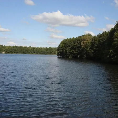 بيت للعطل At Pagelsee In The Mueritz National Park Krienke