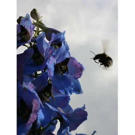 At Pagelsee In The Mueritz National Park * Krienke