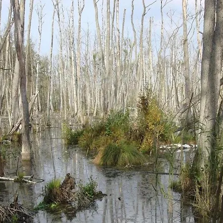 بيت للعطل At Pagelsee In The Mueritz National Park Krienke