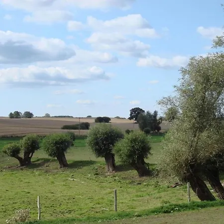 At Pagelsee In The Mueritz National Park *