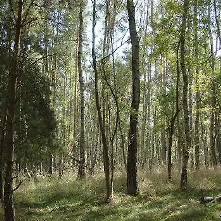 At Pagelsee In The Mueritz National Park بيت للعطل *